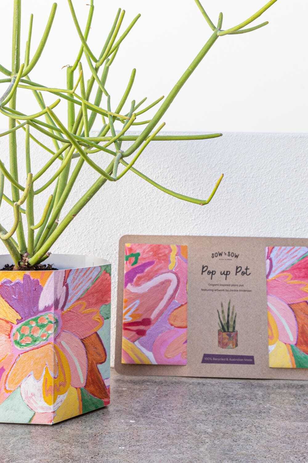 Pop Up Pot 'Bloom' Medium SOLD OUT - Image 7