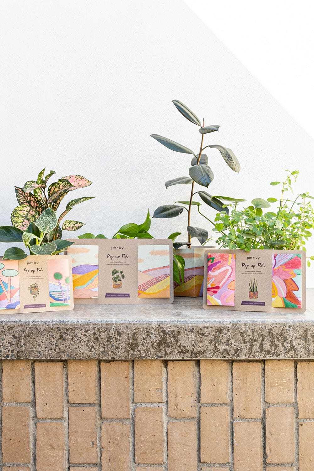 Pop Up Pot Gift Set of 3 SOLD OUT - Image 5