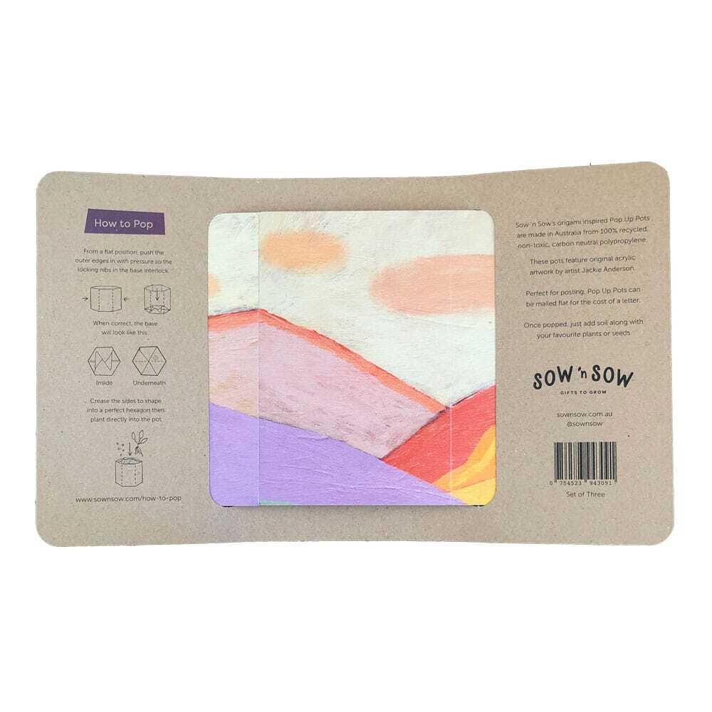 Pop Up Pot Gift Set of 3 SOLD OUT - Image 3