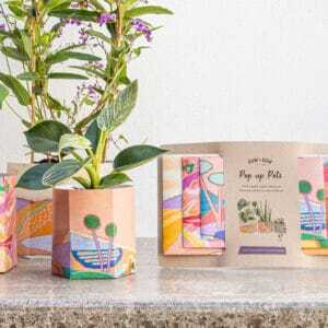 Recycled Pop Up Pots
