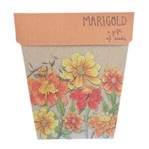 A complete guide to 20 edible flowers