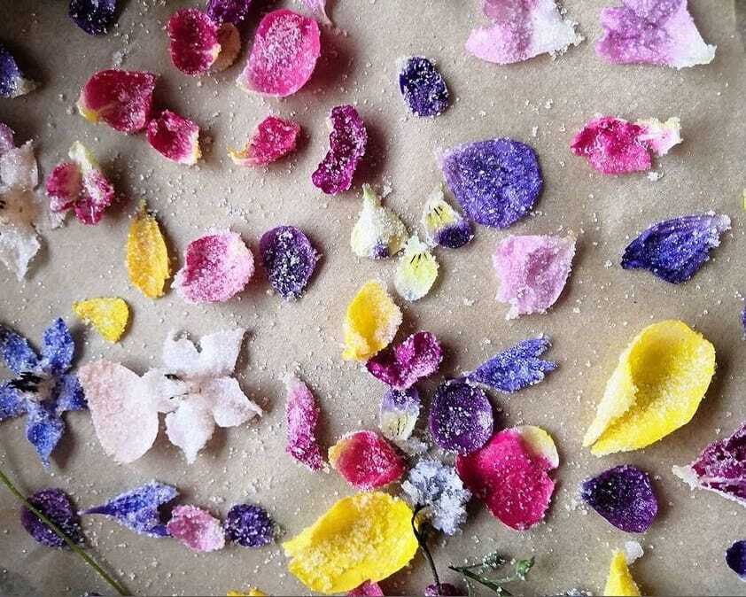How to crystallise edible flowers