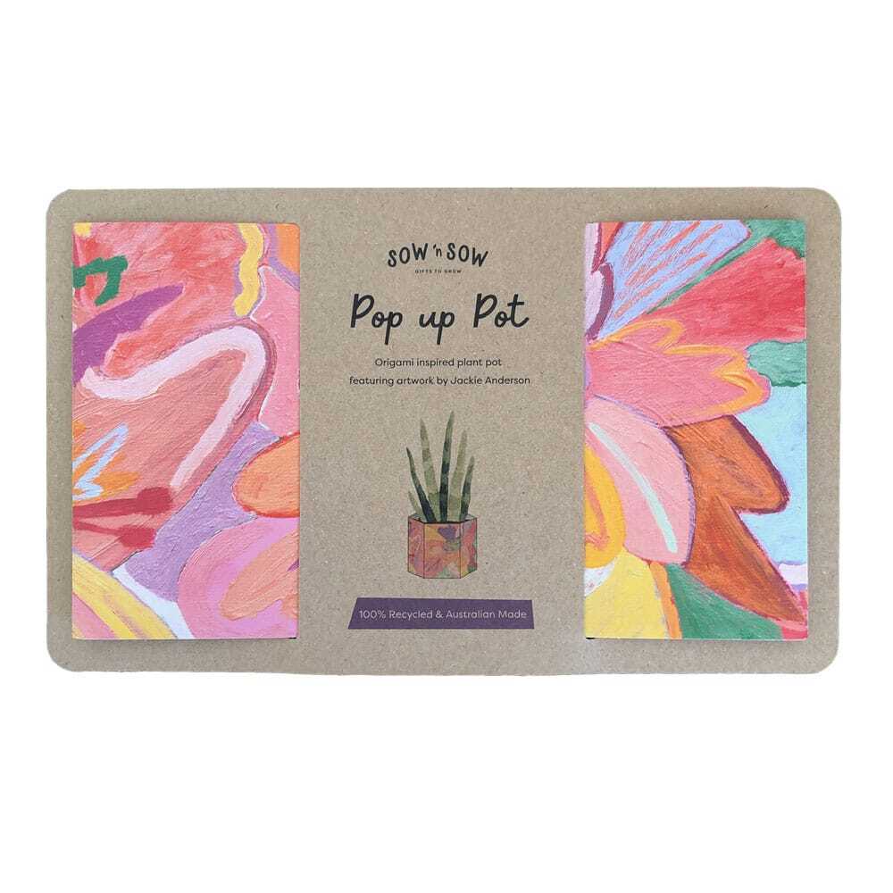 Pop Up Pot 'Bloom' Medium SOLD OUT - Image 2