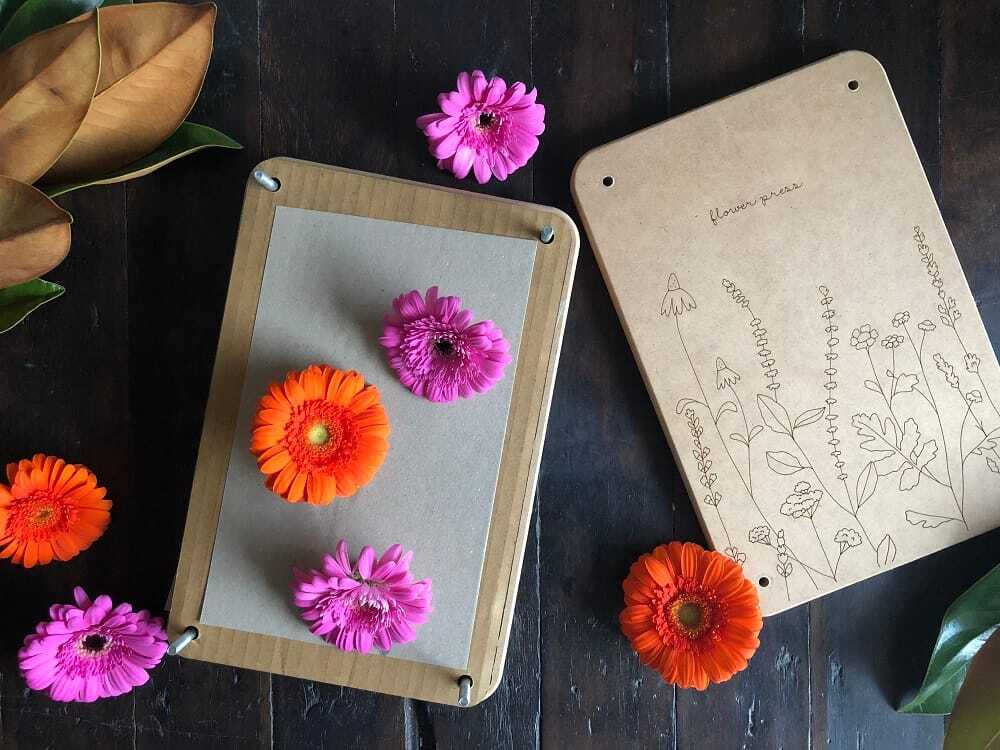 How to preserve gerberas using a flower press