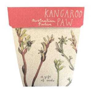 How to grow kangaroo paw from seed