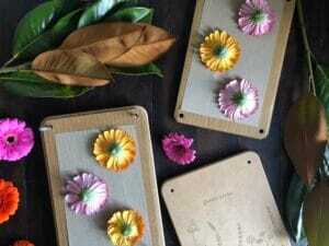 How to preserve bright gerberas using a flower press