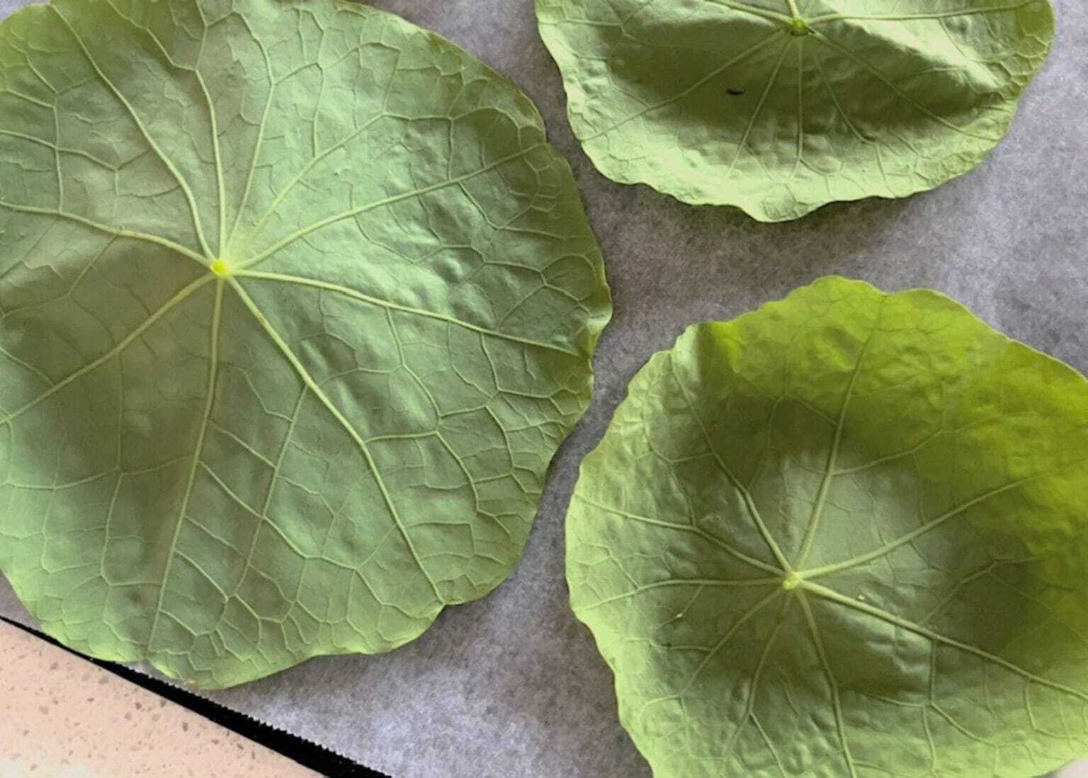 How to make delicious nasturtium chips