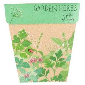 Garden Herbs A Gift of Seeds