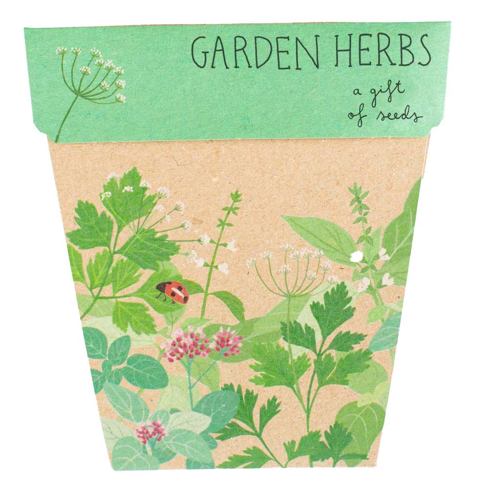 Garden Herbs A Gift of Seeds