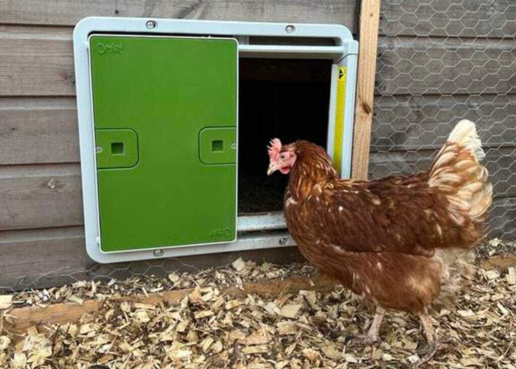 Automatic Chicken Coop Door that opens and closes automatically