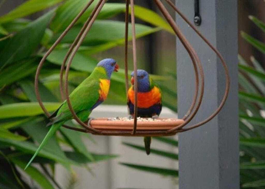 Metal bird feeder to hang in the garden and attract birds
