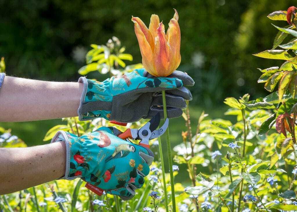 Stylish gardening gloves featuring songbirds and foliage