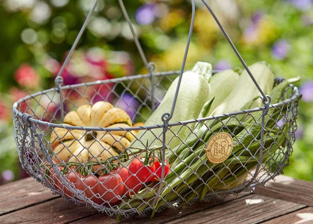 A metal harvesting basket specially designed for collecting harvested garden produce and flowers