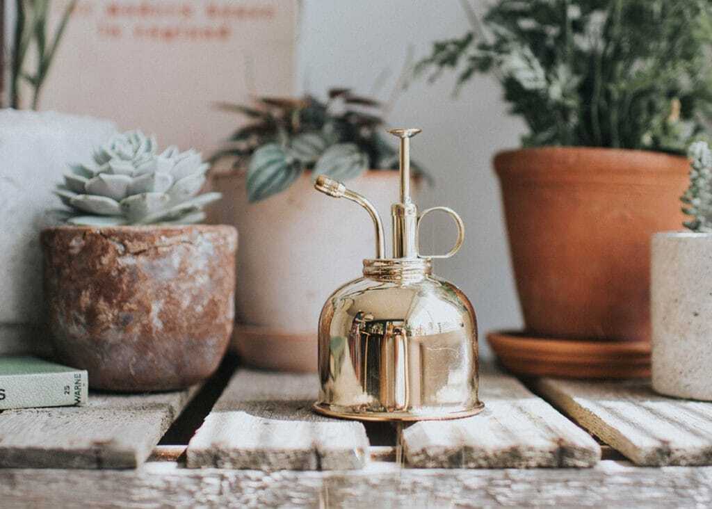 A brass mister that helps to keep indoor plants hydrated and healthy
