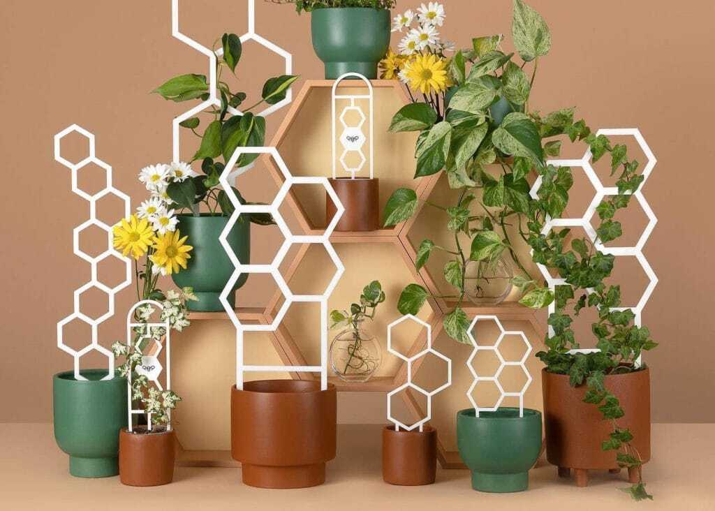 Plant climbers to help plants to grow vertically