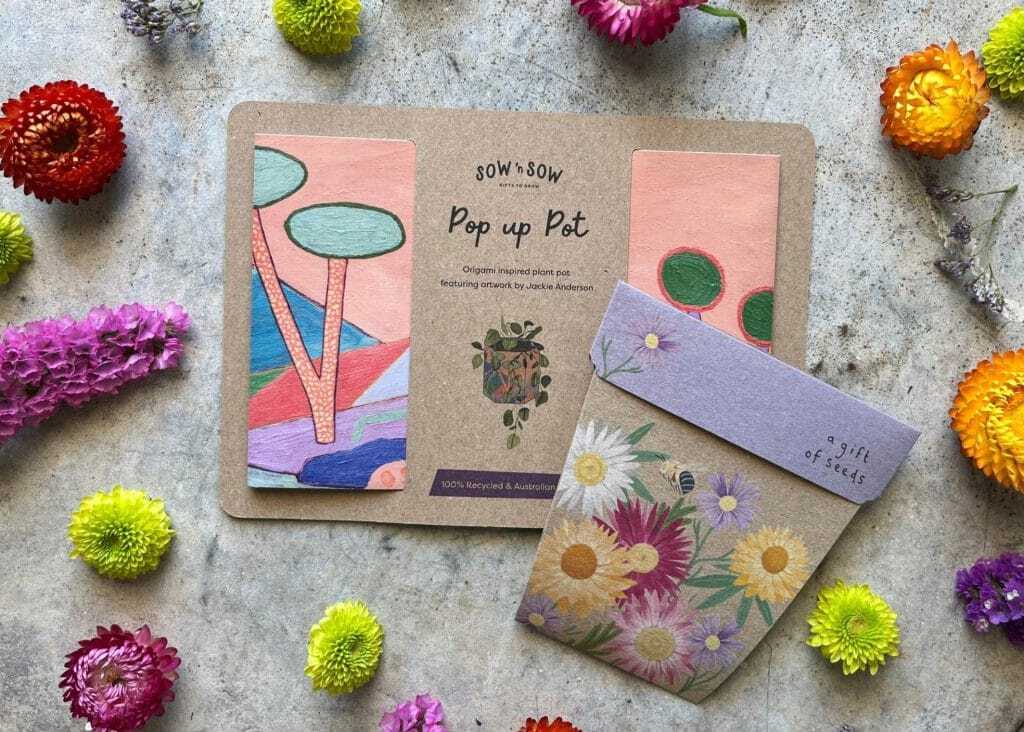 A plant pot and seed gift set for gardeners