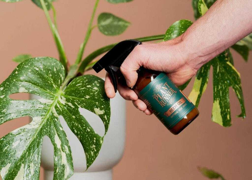Neem leaf oil for indoor plants gardening gift

