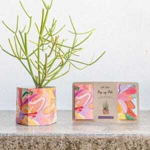 Sow 'n Sow Pop Up Pot