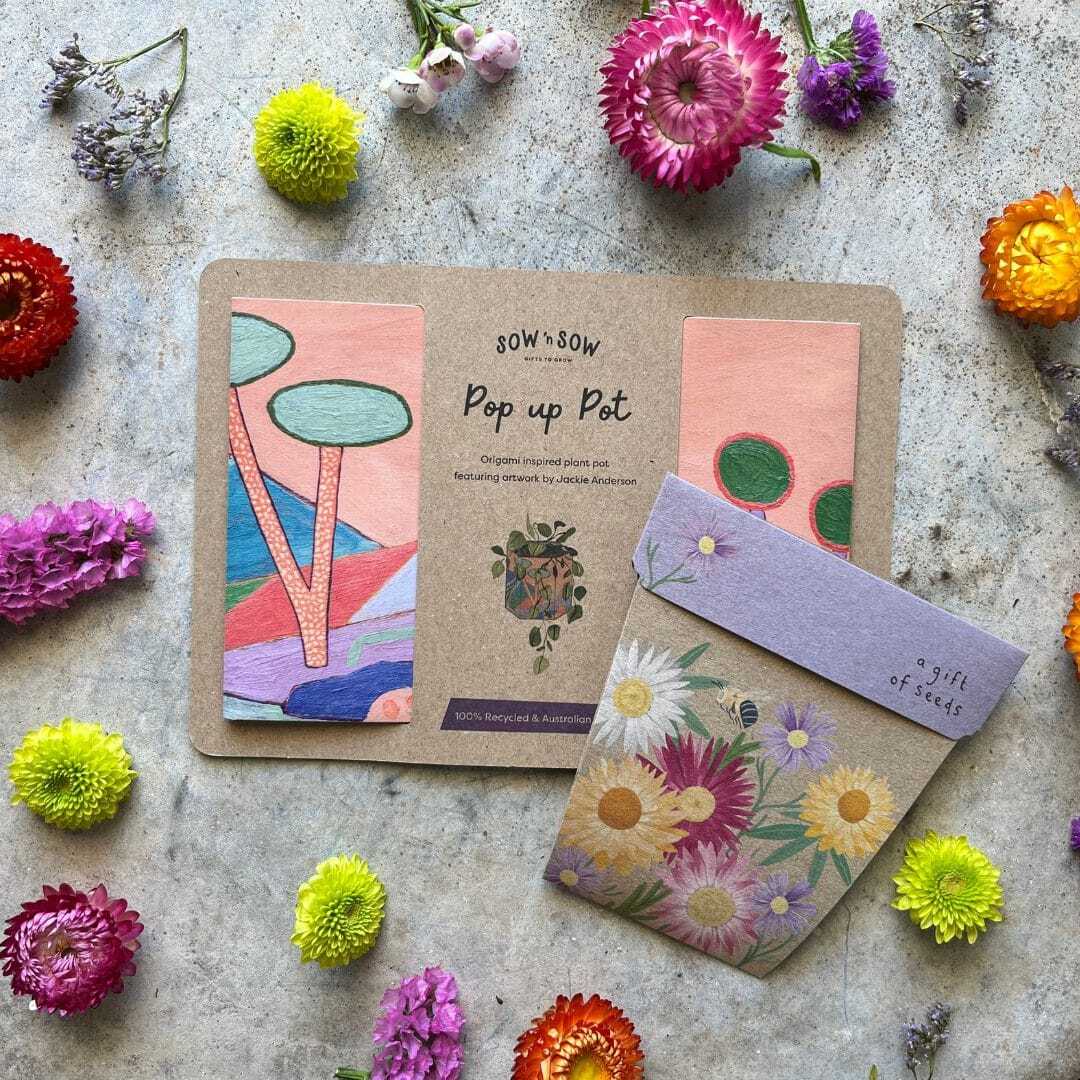 Sow-n-Sow-Pot-and-Seed-Set Pop and Seed Gift Set