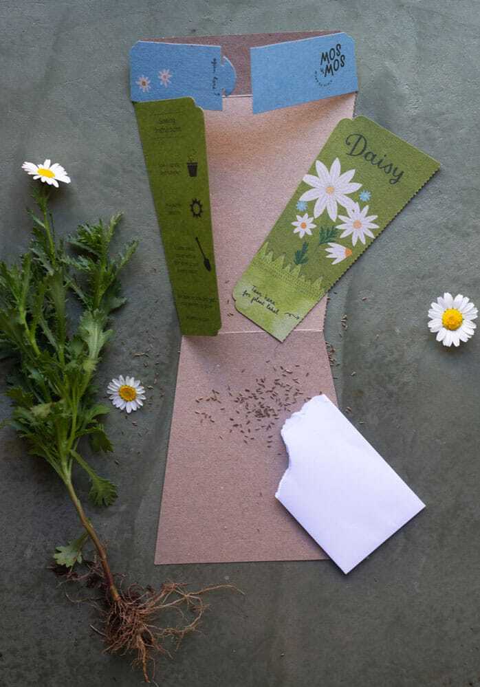 Daisy Gift of Seeds
