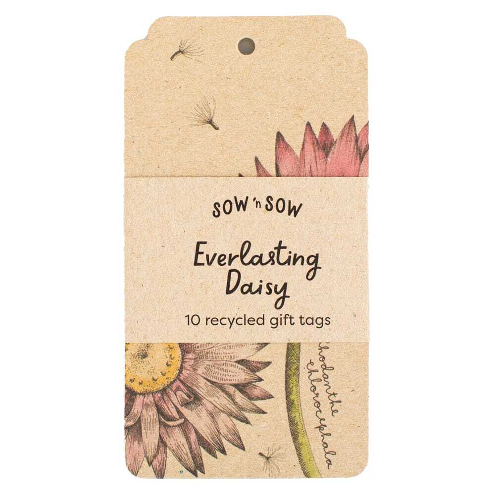 Everlasting Daisy Gift Tag 10 Pack