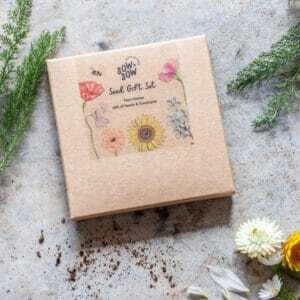 Flower seed gift set