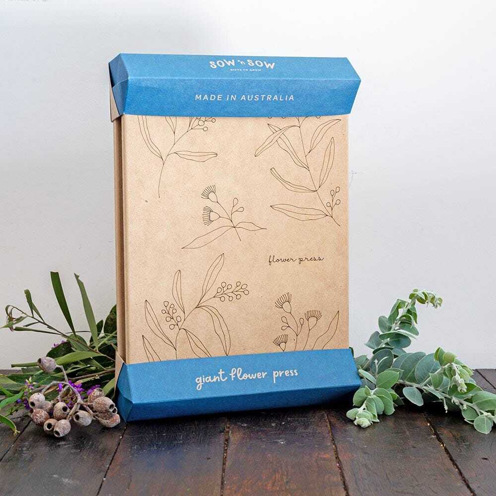 The Best Flowers to Press with a Flower Press