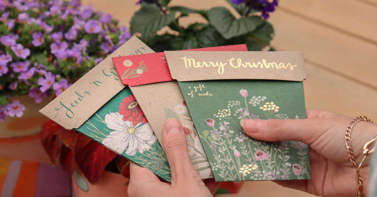 Unwrap a Green Christmas: 35 Sustainable Secret Santa Gifts