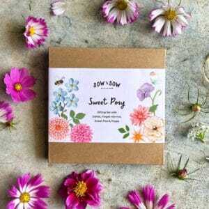 Sweet Posy Seed Gift Set