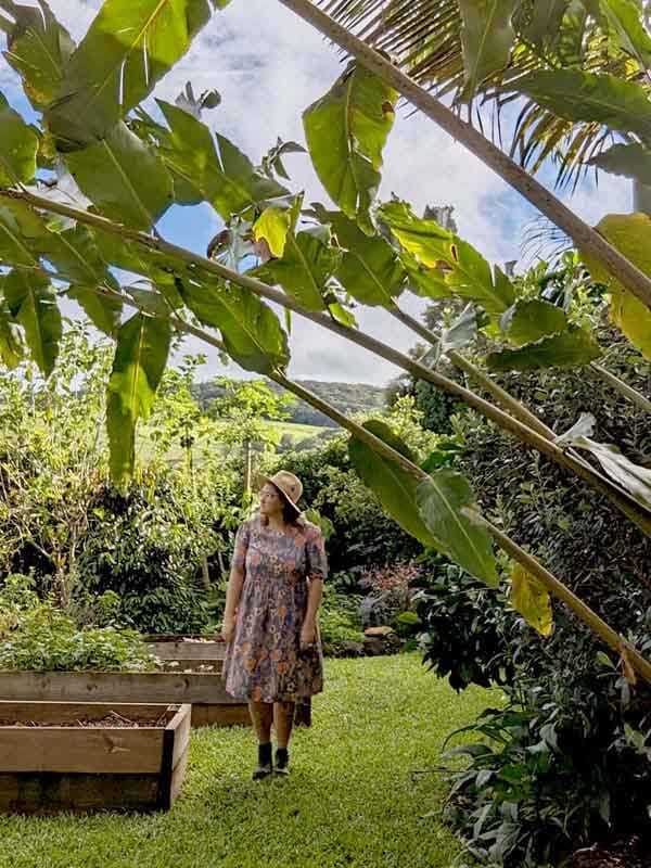 From Cold Hills to Lush Rainforests: Brenner Lowe's Journey to Creating a Thriving Edible Garden