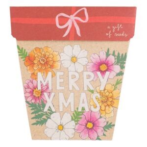 Christmas Blooms Gift of Seeds