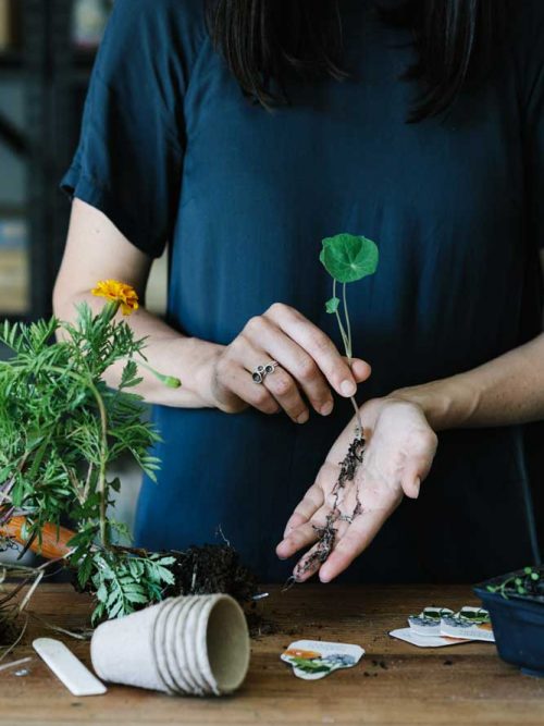 Image credits: Marnie Hawson / Country Style / Bauer Media Pty Limited / bauersyndication.com.au