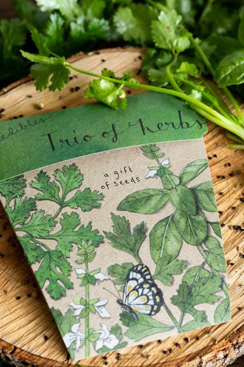 TrioofHerbs_styled_web