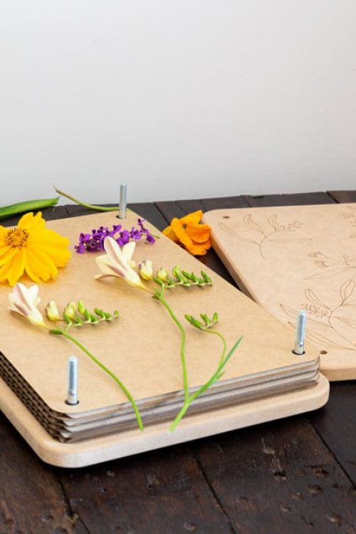 How to press flowers with a flowre press