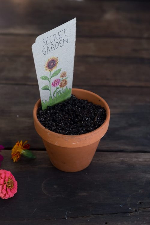 sow n sow 16-8-20--5