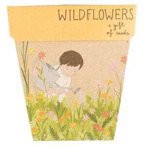 Wildflowers