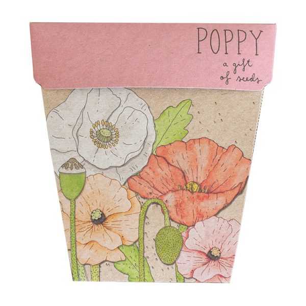 Poppy, A Gift of Seeds