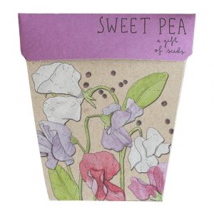Sweet Pea Gift of Seeds by Sow 'n Sow