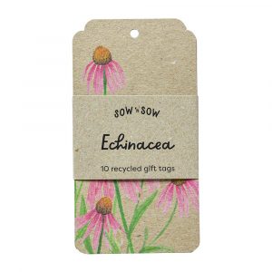 Echinacea Gift Tag Set 10