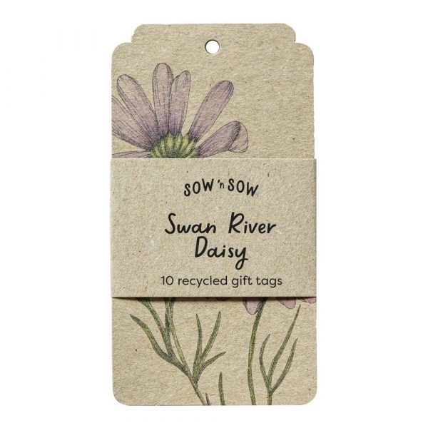 Swan River Daisy Gift Tags