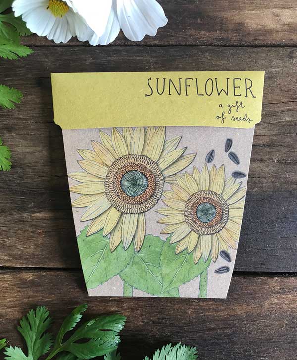 Sunflower Design Refresh & Plastic Free