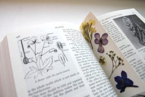 15 pressed flower crafts and activities for kids