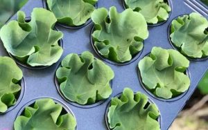 10 unbelievable ways to cook with nasturtiums 