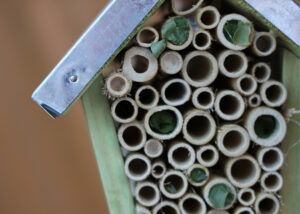 How to make a bee hotel for your garden