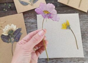 How to make beautiful pressed flower cards