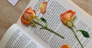 Learn how to press roses: 3 easy ways