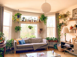 The Plant parent trend: create an urban jungle in your home