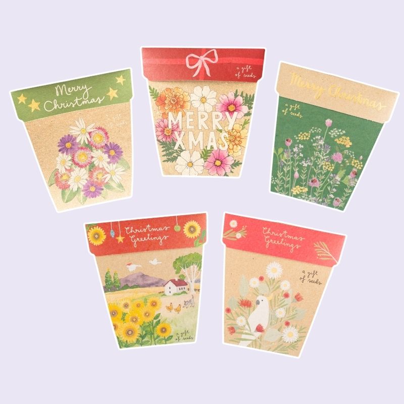 Christmas Seeds