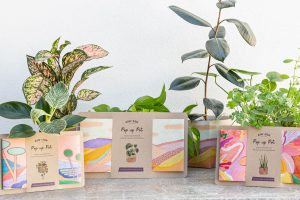 Valentine's Day gifts for gardeners and plant lovers