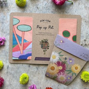 A plant pot and seed gift set for gardeners